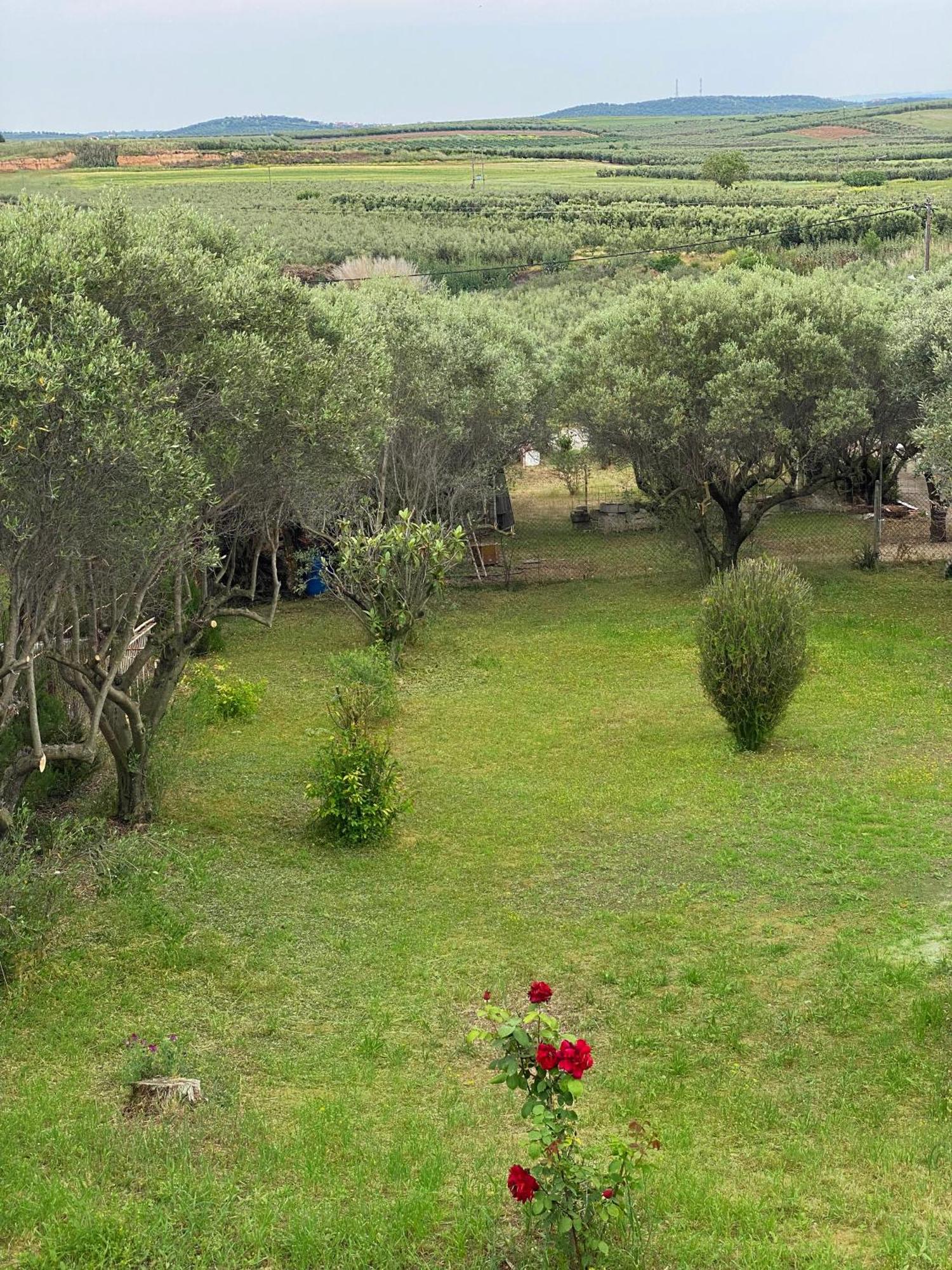 Mediterranean Escape Флогита Екстериор снимка